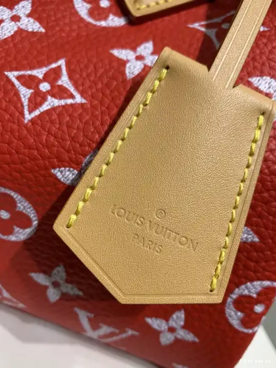 First bag ru Speedy 25 LOUIS VUITTON Bandoulière  P9 0521
